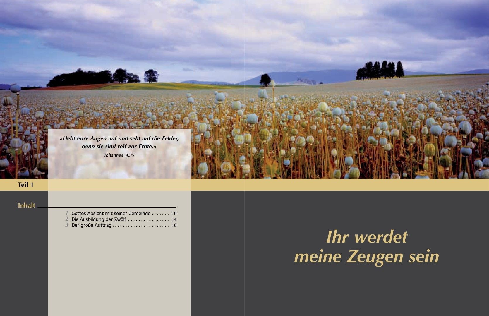 Advent-Verlag Schweiz-Gute Nachricht für alle, Premium_2210174_5 Advent-Verlag Schweiz-Gute Nachricht für alle, Premium_2210174_