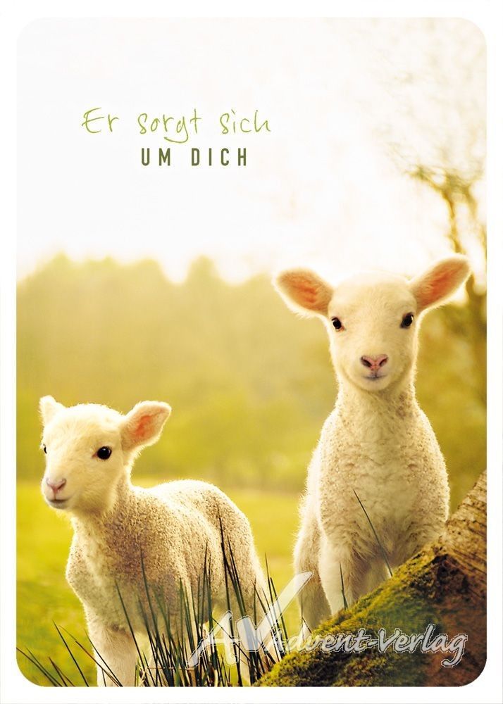 4741356_0.jpg Er sorgt sich um Dich