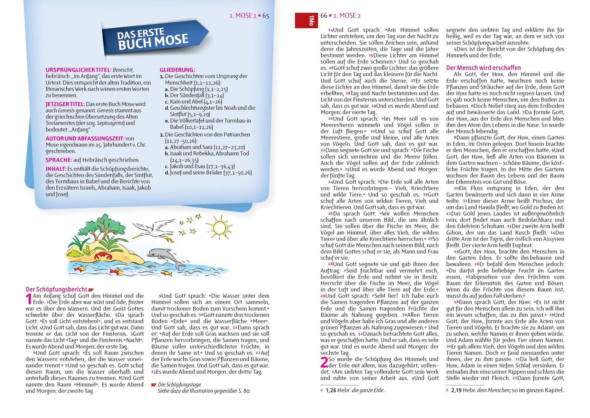 Advent-Verlag GmbH-Bibel, Neues Leben, Pfadfinder, Taschen, blau-gelb_2921799_11 Advent-Verlag GmbH-Bibel, Neues Leben, Pfadfinder, Taschen, blau-gelb_2921799_
