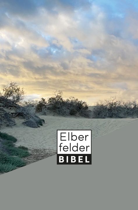 SCM Brockhaus-Bibel, Elberfelder, Brockhaus, Taschen, Dünen_2942768_