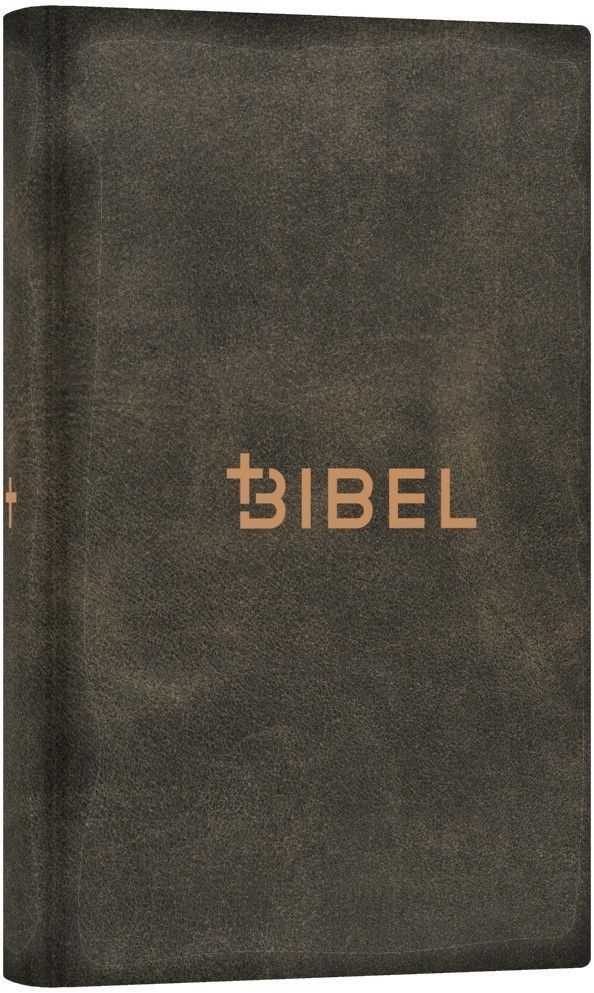 CLV Christliche Literatur-Verbreitung-Bibel, Schlachter 2000, Miniatur, Hardcover, grau_2941779_
