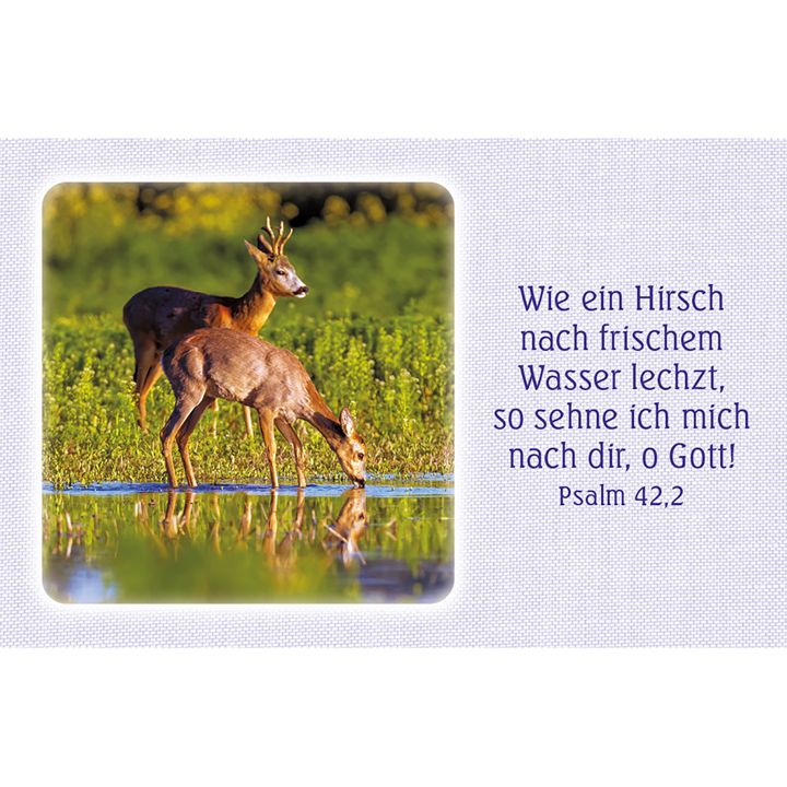 Kawohl Verlag-62 Psalm-Gebete_4743066_