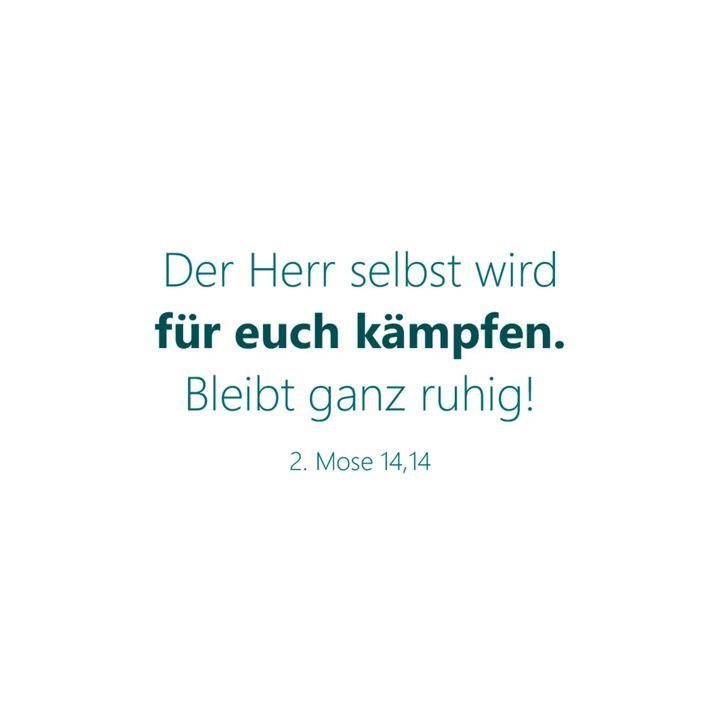 Brunnen Verlag-Für Gott sind alle Dinge möglich - Textkartenbox_4942853_
