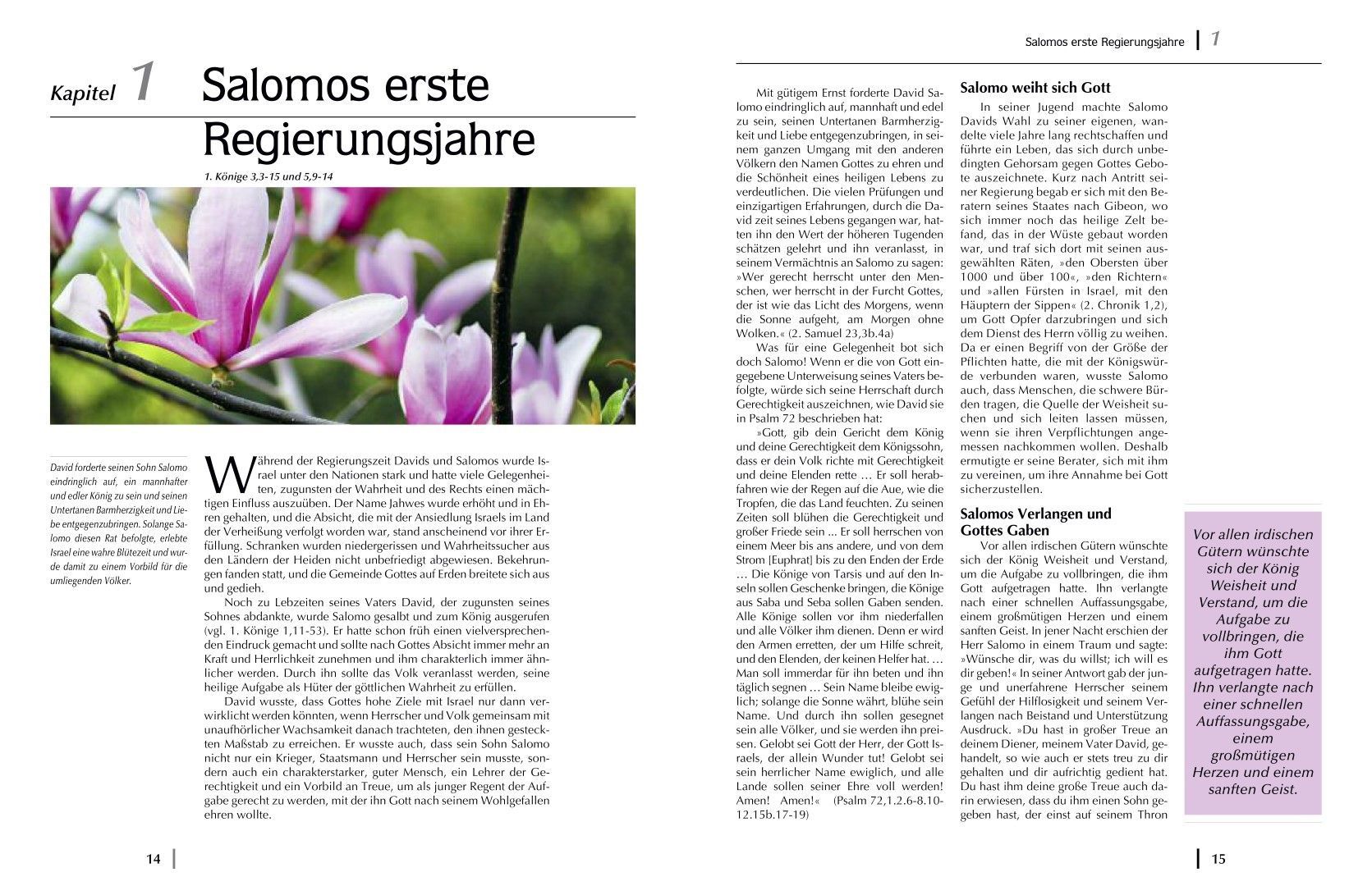 Advent-Verlag Schweiz-Macht und Ohnmacht, Premium_2210224_6 Advent-Verlag Schweiz-Macht und Ohnmacht, Premium_2210224_