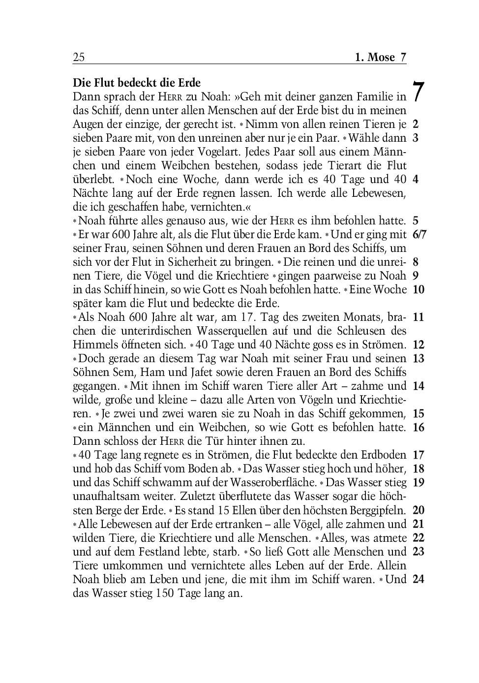 SCM Brockhaus-Bibel, Neues Leben, grosse Schrift_2942261_