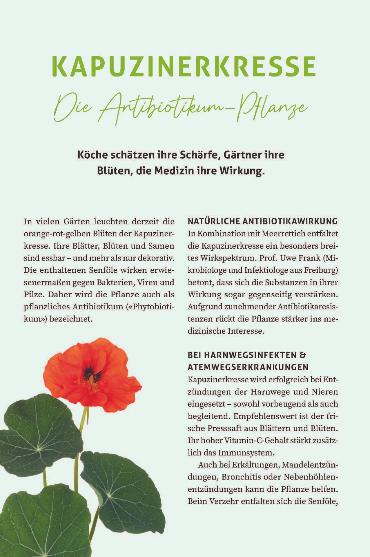 Advent-Verlag Schweiz-Leben & Gesundheit - Unser wertvollstes Gut, 10er-Pack_2212801_23 Advent-Verlag Schweiz-Leben & Gesundheit - Unser wertvollstes Gut, 10er-Pack_2212801_