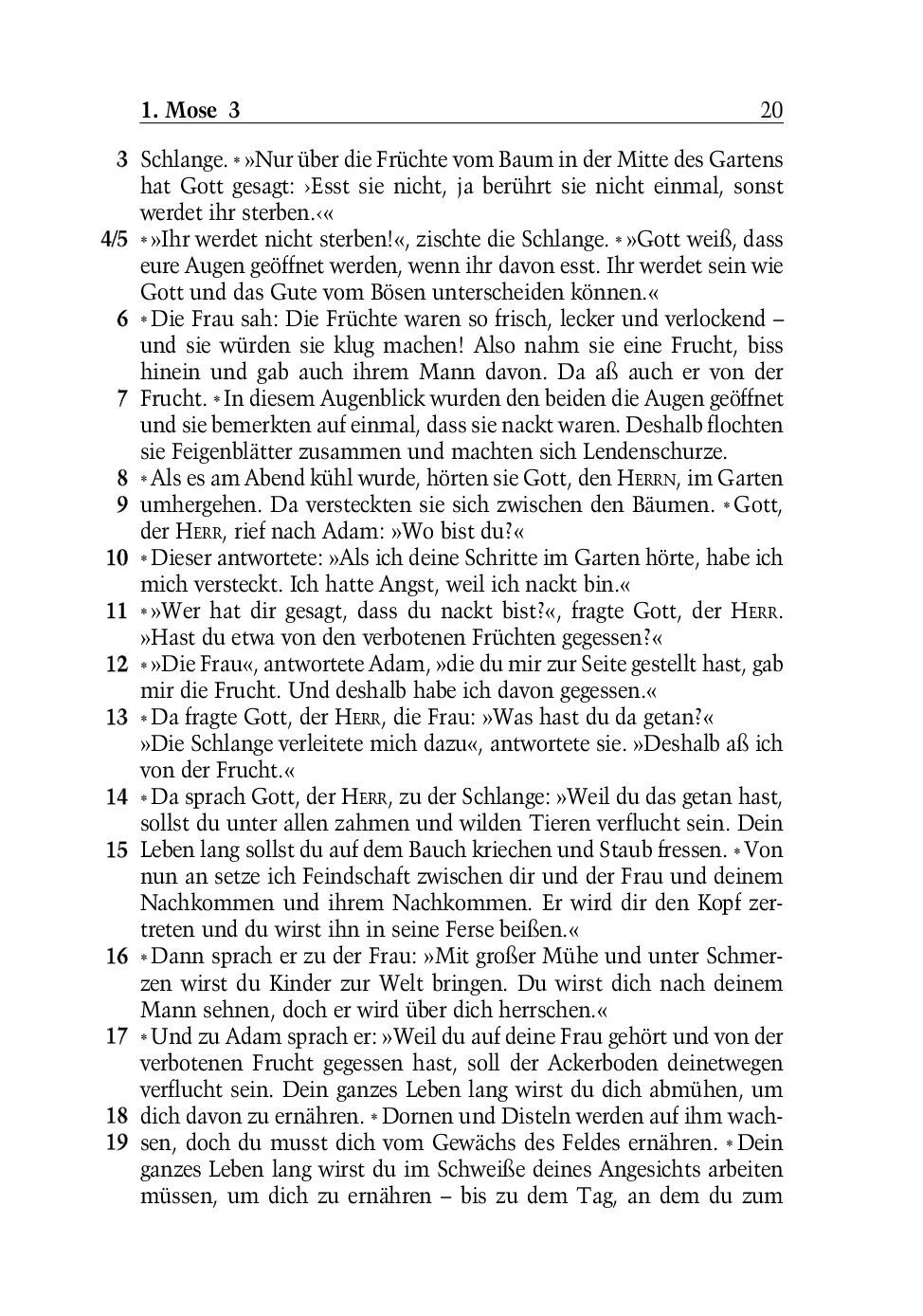 SCM Brockhaus-Bibel, Neues Leben, grosse Schrift_2942261_