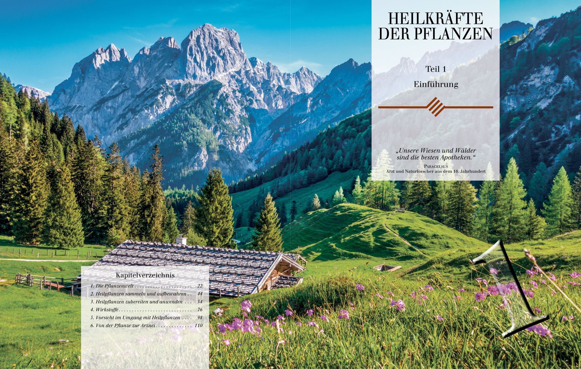 ABC Medien GmbH-Heilkräfte der Pflanzen, Premium, Band 1_2231082_
