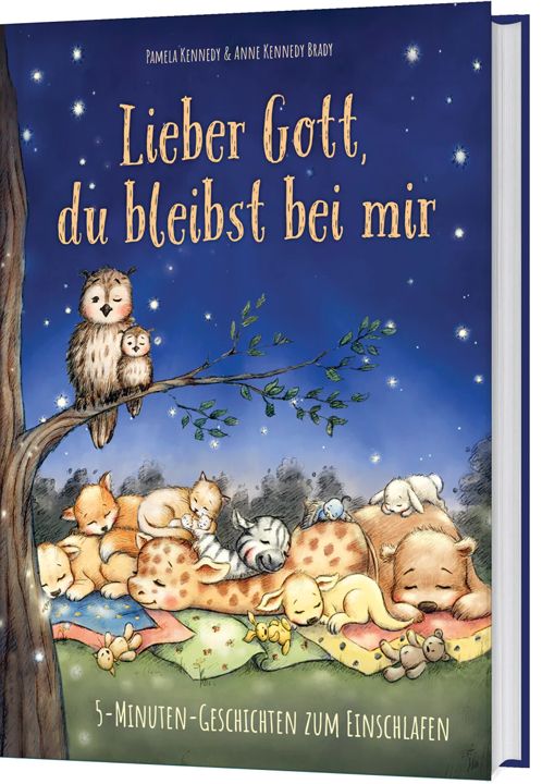 Gerth Medien-Lieber Gott, du bleibst bei mir_2942359_1 Gerth Medien-Lieber Gott, du bleibst bei mir_2942359_