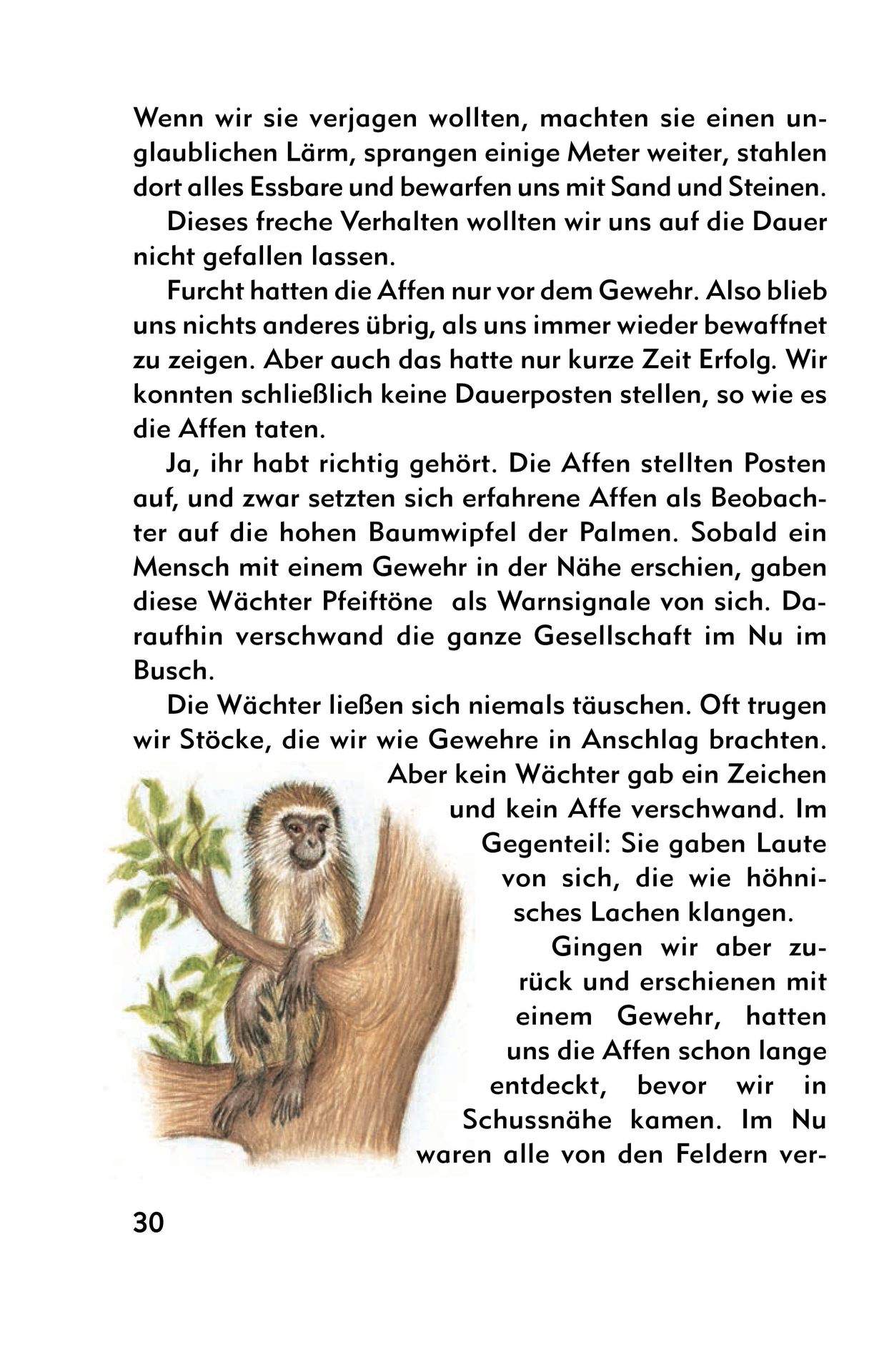 Advent-Verlag Schweiz-Meine Geschichtenkiste, Band 2_2210232_13 Advent-Verlag Schweiz-Meine Geschichtenkiste, Band 2_2210232_