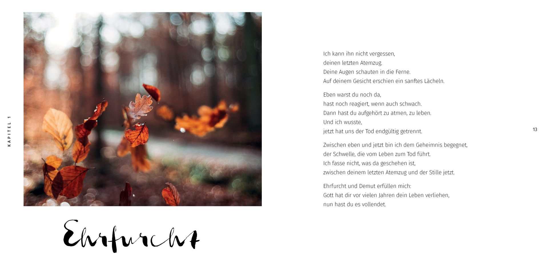 Advent-Verlag GmbH-Trostbuch_2421464_