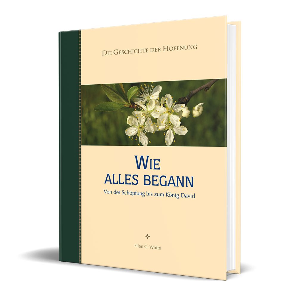 Advent-Verlag Schweiz-Wie alles begann, Premium_2210384_