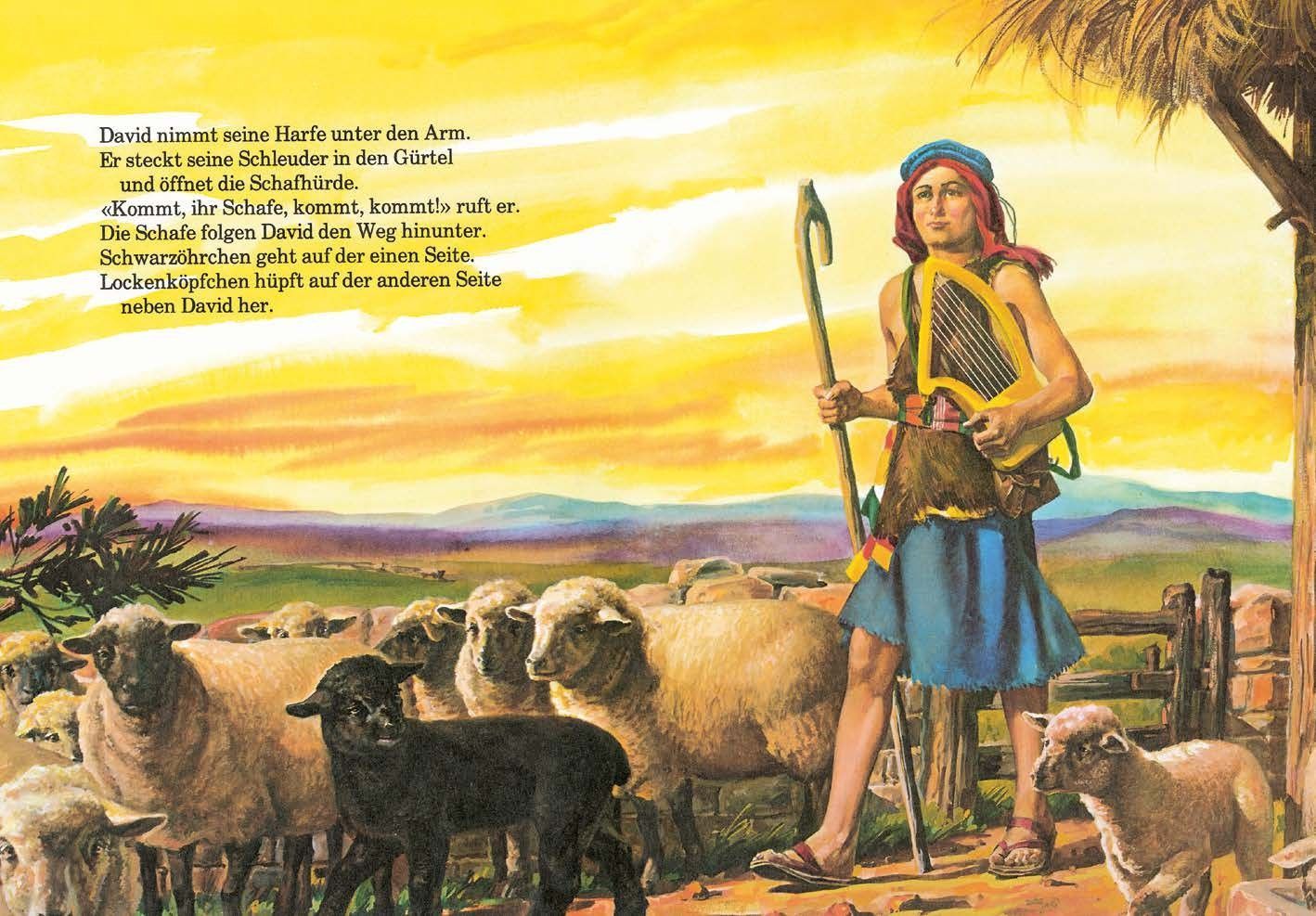 Advent-Verlag Schweiz-Meine Lieblingsgeschichten, David, der Jüngste_2410276_5 Advent-Verlag Schweiz-Meine Lieblingsgeschichten, David, der Jüngste_2410276_