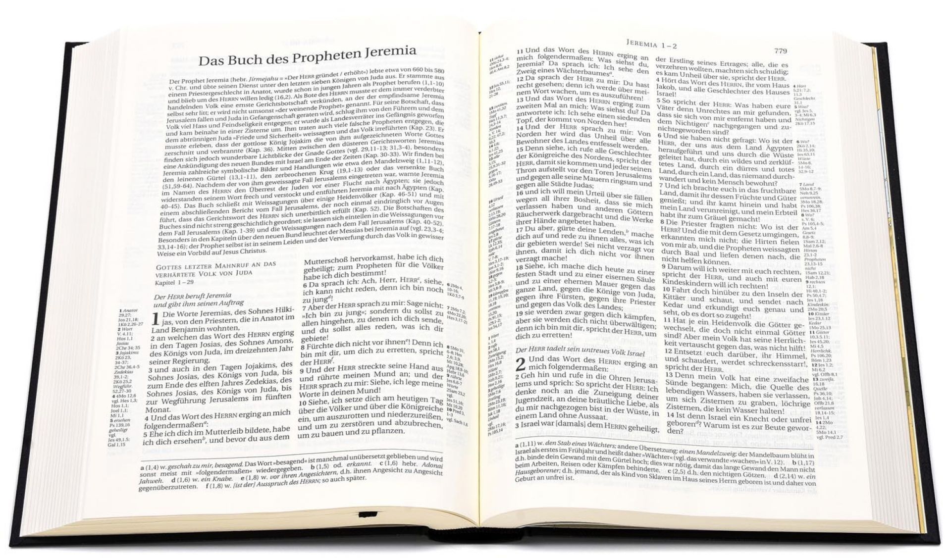 Société Biblique de Genève-Bibel, Schlachter 2000, Standard, Fibroleder, weinrot, Goldschnitt_2943047_2 Société Biblique de Genève-Bibel, Schlachter 2000, Standard, Fibroleder, weinrot, Goldschnitt_2943047_