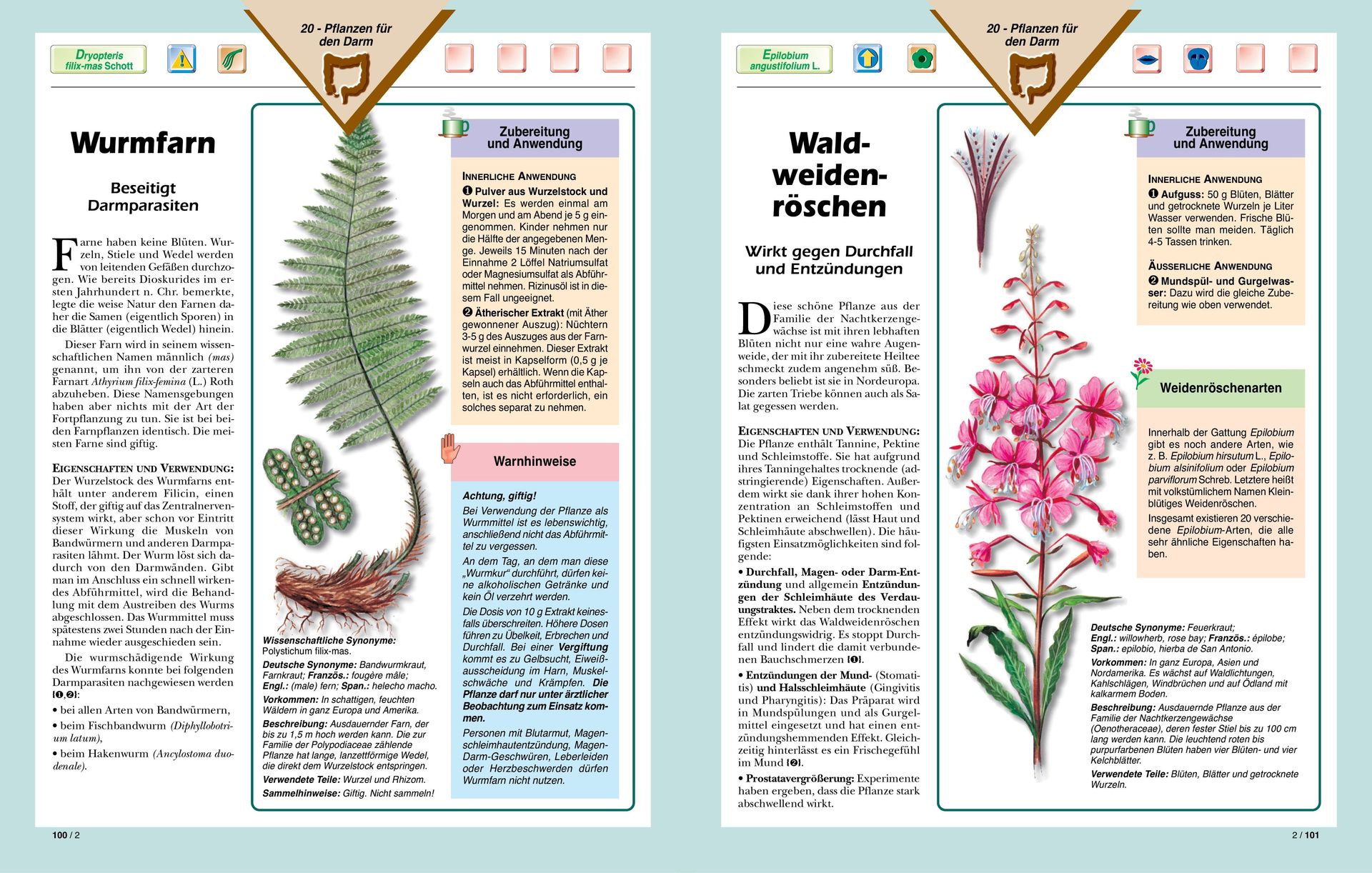 Top Life Center - Wegweiser Verlag-Serie: SGB: Heilkräfte der Pflanzen, Bände 1-2_2231110_