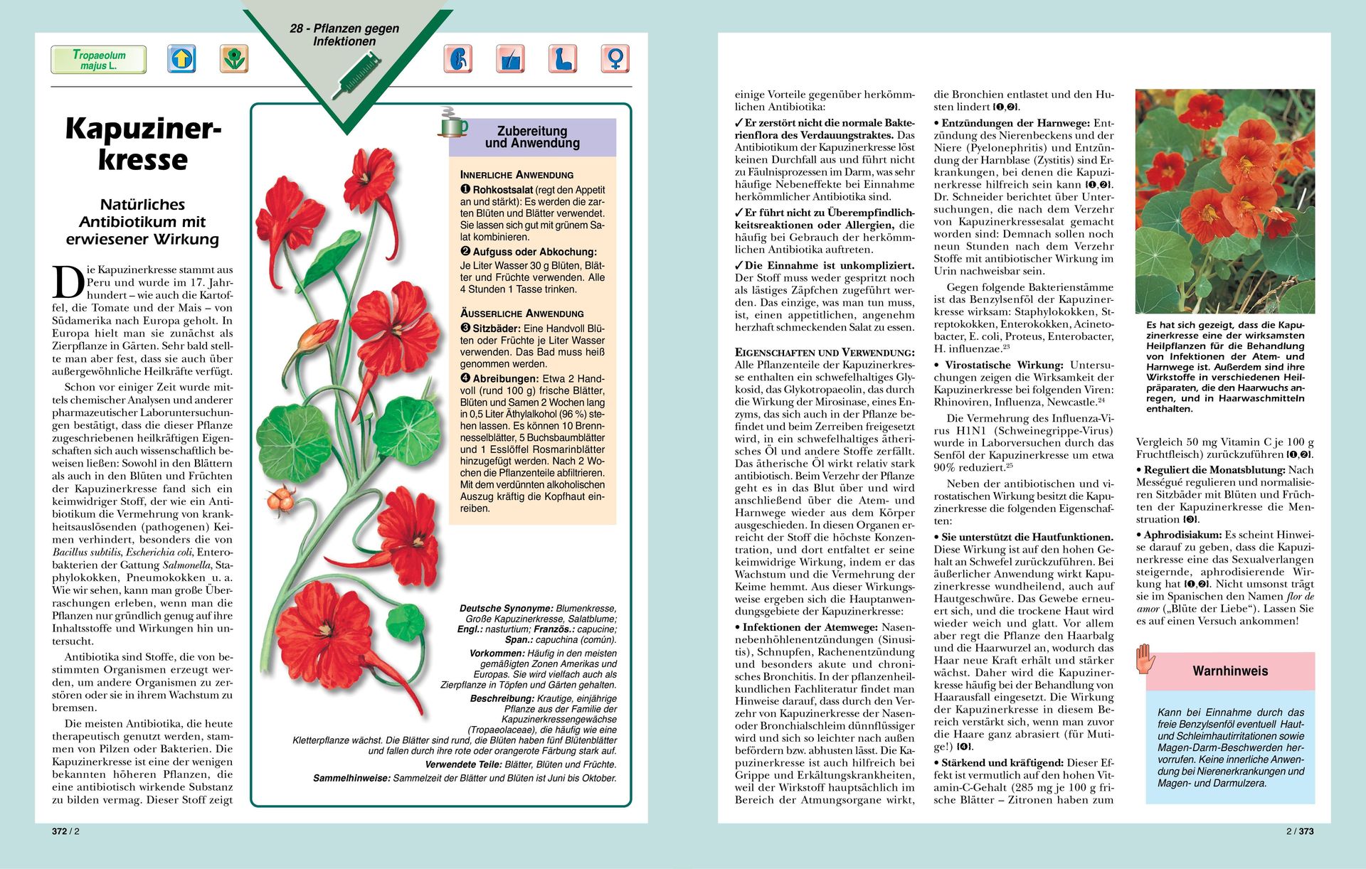 ABC Medien GmbH-Heilkräfte der Pflanzen, Premium, Band 2_2231083_10 ABC Medien GmbH-Heilkräfte der Pflanzen, Premium, Band 2_2231083_