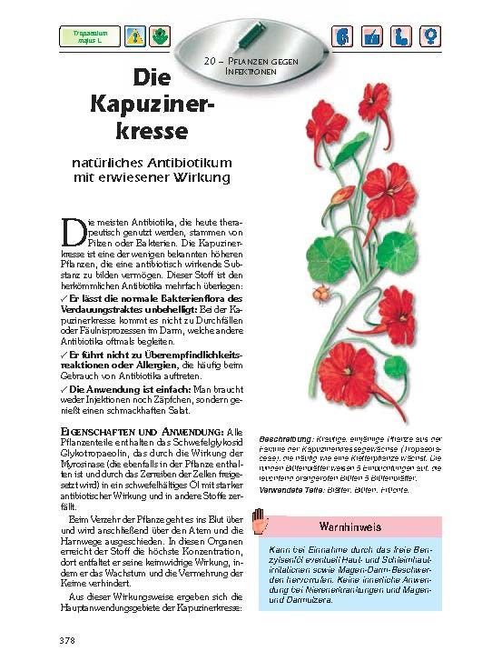 Advent-Verlag Schweiz-Heilkräfte der Pflanzen_2210177_14 Advent-Verlag Schweiz-Heilkräfte der Pflanzen_2210177_