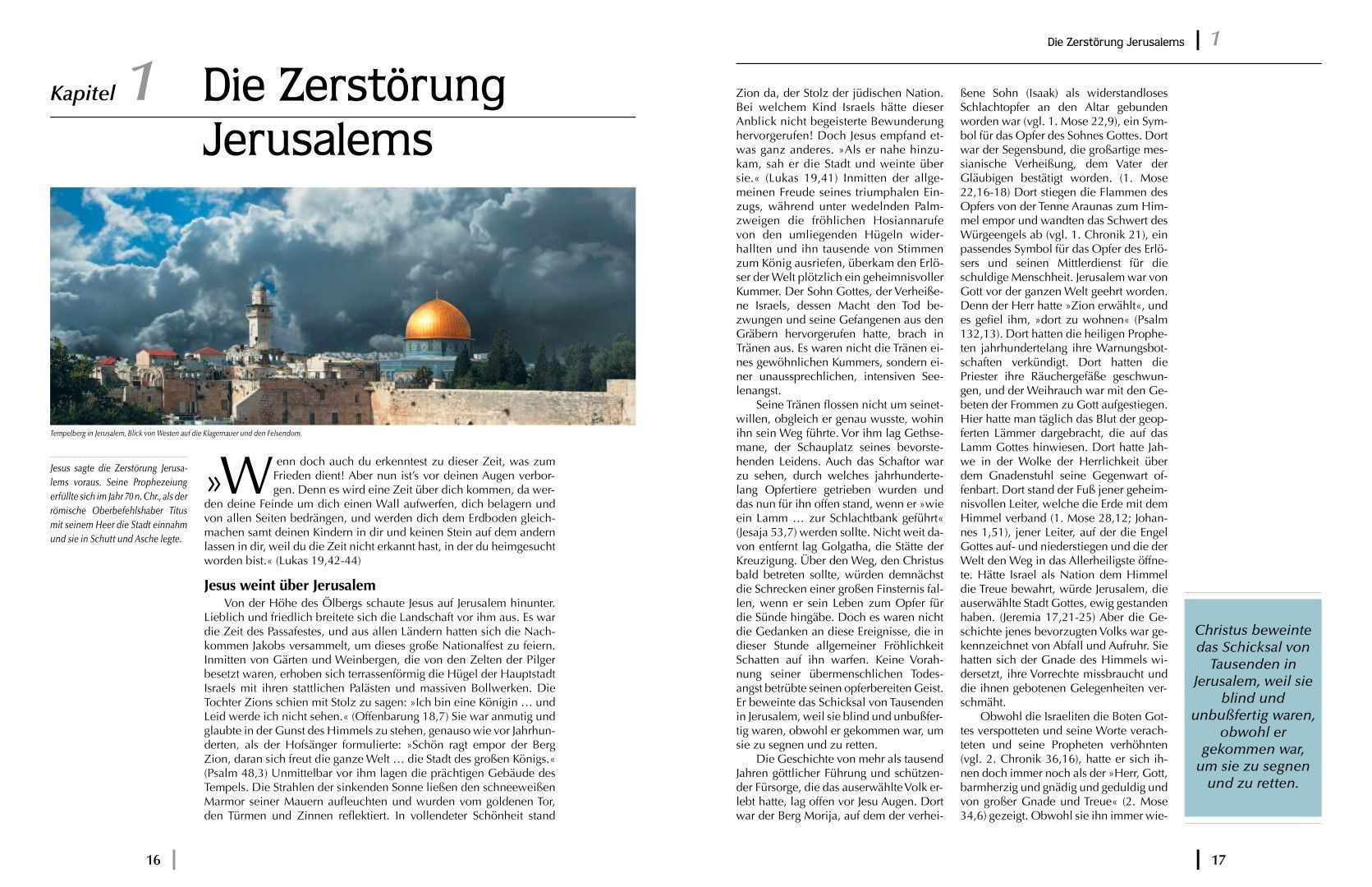 Advent-Verlag Schweiz-E-Serie: Die Geschichte der Hoffnung, Premium_2210113_