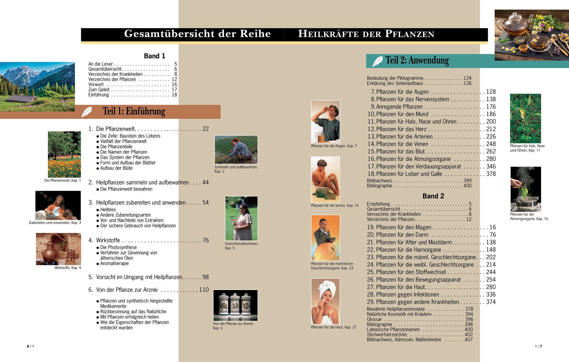 ABC Medien GmbH-Heilkräfte der Pflanzen, Premium, Band 2_2231083_3 ABC Medien GmbH-Heilkräfte der Pflanzen, Premium, Band 2_2231083_