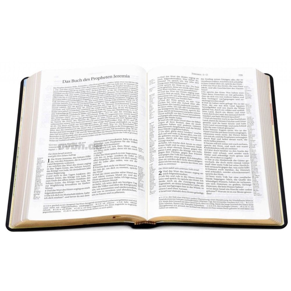 AVA Verlagsauslieferung AG-Bibel, Schlachter 2000, grosse Schrift_2441240_