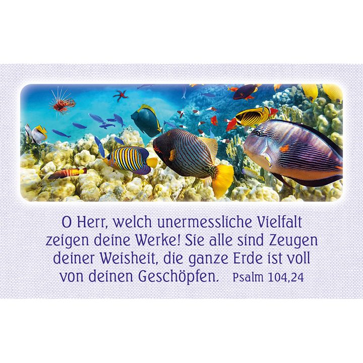 Kawohl Verlag-62 Psalm-Gebete_4743066_