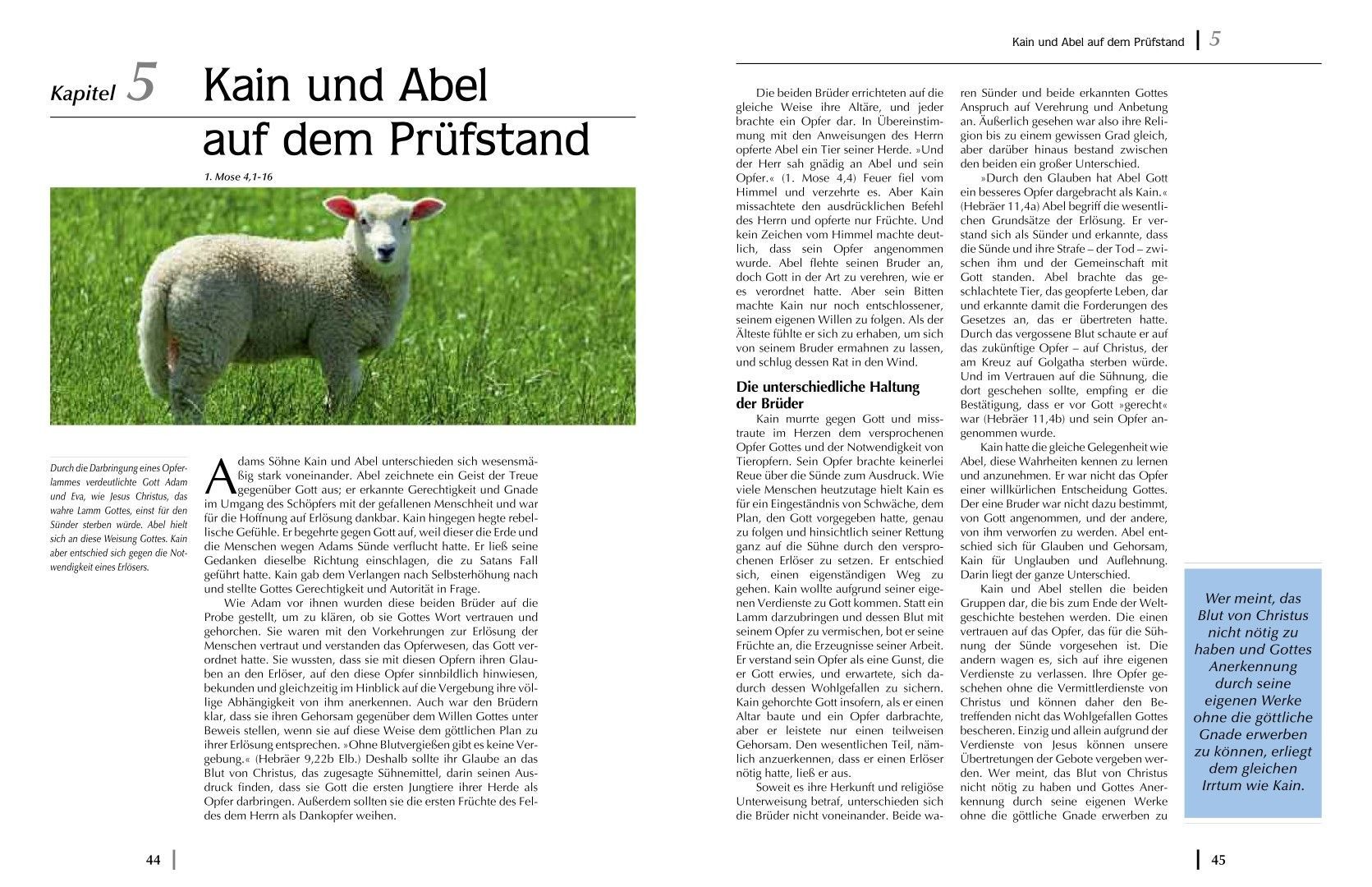 Advent-Verlag Schweiz-Wie alles begann, Premium_2210384_