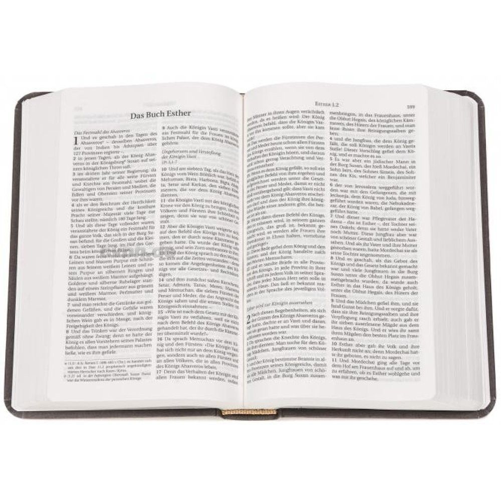 CLV Christliche Literatur-Verbreitung-Bibel, Schlachter 2000, Miniatur, Hardcover, grau_2941779_2 CLV Christliche Literatur-Verbreitung-Bibel, Schlachter 2000, Miniatur, Hardcover, grau_2941779_