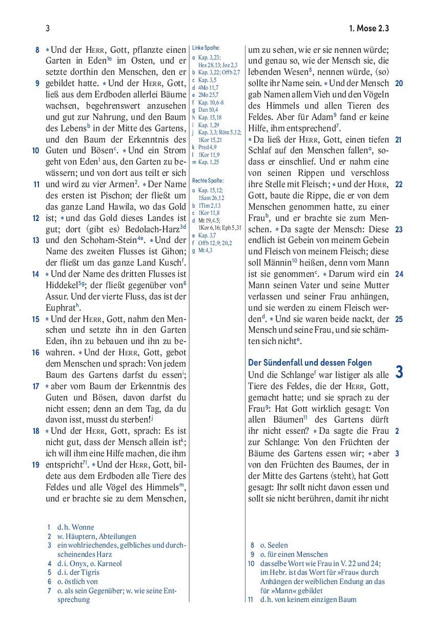 SCM Brockhaus-Bibel, Elberfelder, Brockhaus, Standard, Kunstleder grau Reissverschluss_2942466_