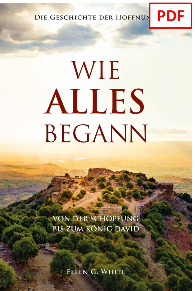 Advent-Verlag Schweiz-Wie alles begann - digitale Version (PDF)_2413008_