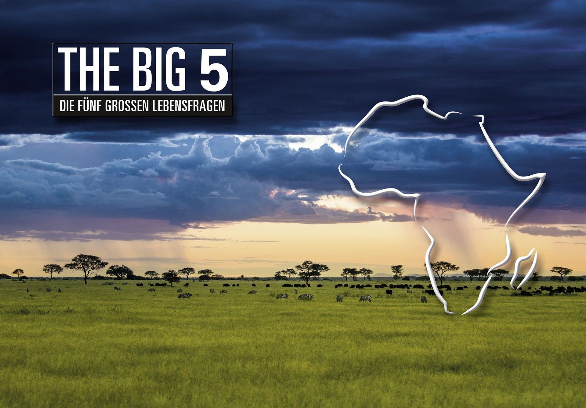 DVD: Die fünf grossen Lebensfragen/The Big 5_3641076_