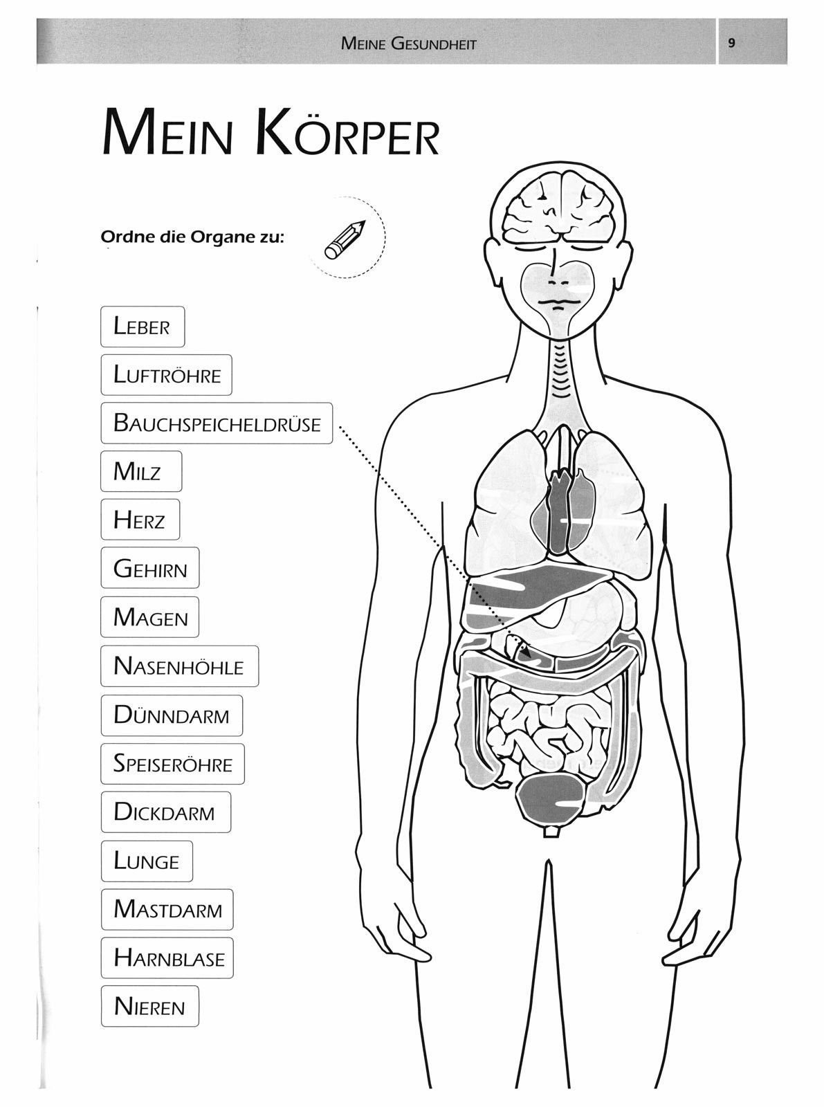 Naturkost-Aumühle-Meine Gesundheit_2440820_7 Naturkost-Aumühle-Meine Gesundheit_2440820_