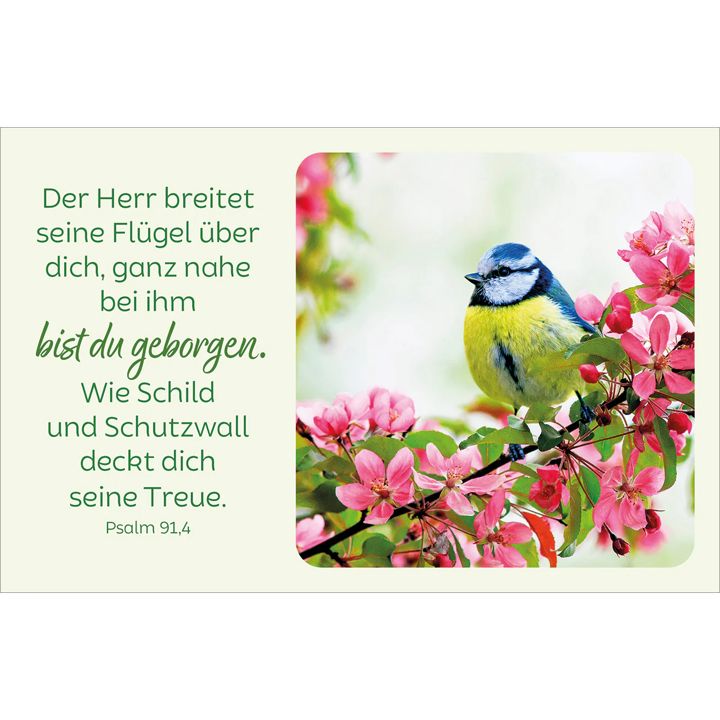 Kawohl Verlag-Blütenreiche Bibelverse_4943038_5 Kawohl Verlag-Blütenreiche Bibelverse_4943038_