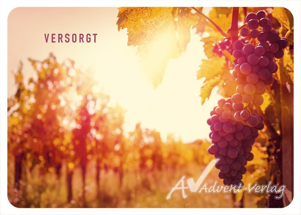 Hartung GmbH & Co. KG-Postkarte: Versorgt_4741385_
