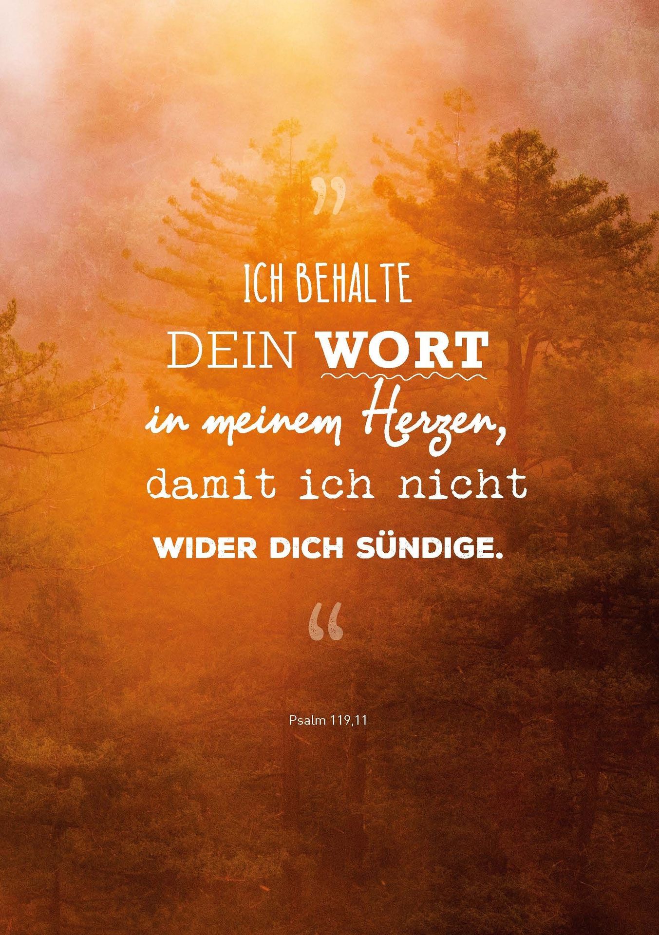 Advent-Verlag Schweiz-My Life Notes_2411074_14 Advent-Verlag Schweiz-My Life Notes_2411074_