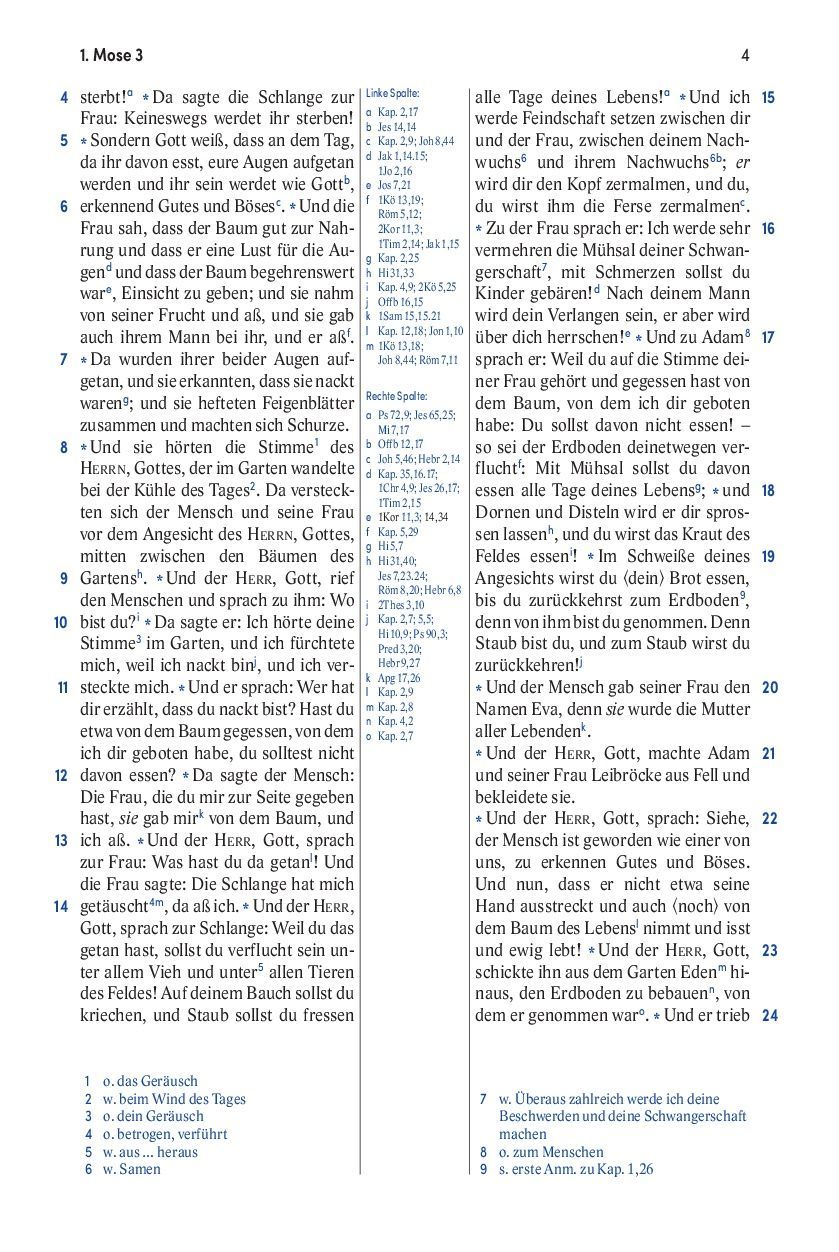 SCM Brockhaus-Bibel, Elberfelder, Brockhaus, Standard, Kunstleder grau Reissverschluss_2942466_