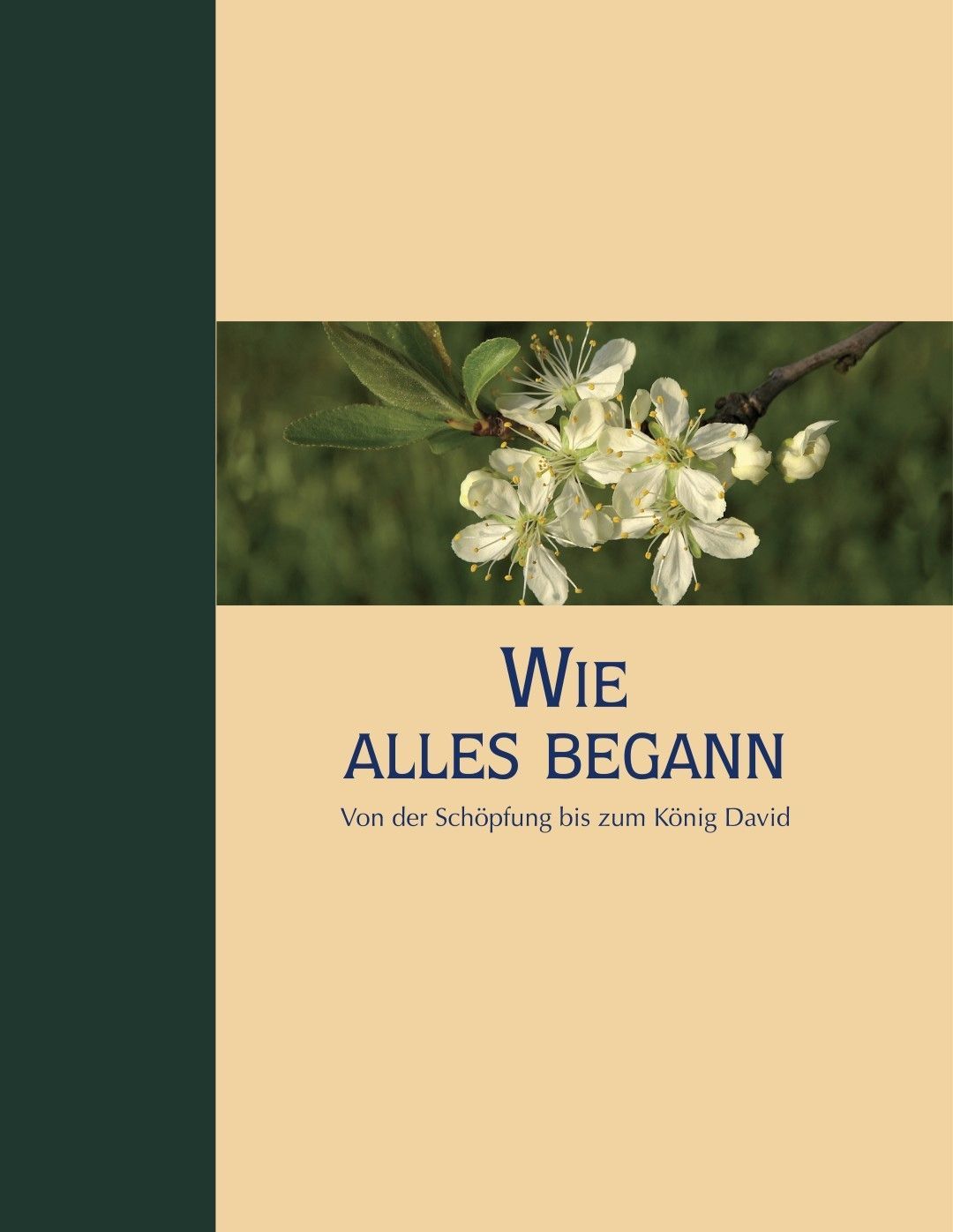 Advent-Verlag Schweiz-Wie alles begann, Premium_2210384_