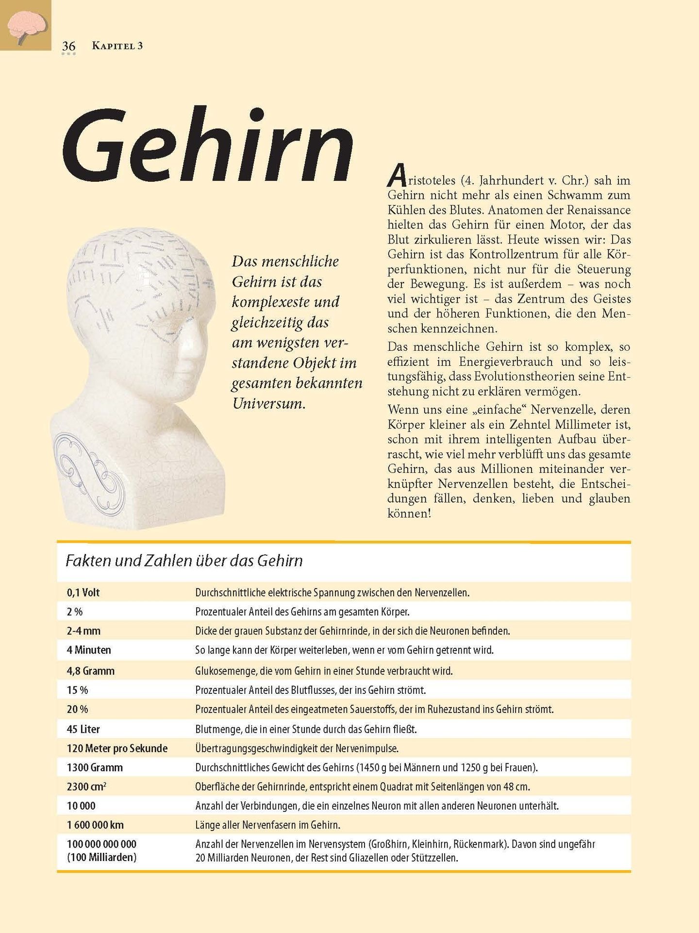 Advent-Verlag Schweiz-Heilkräfte für den Körper_2210178_9 Advent-Verlag Schweiz-Heilkräfte für den Körper_2210178_