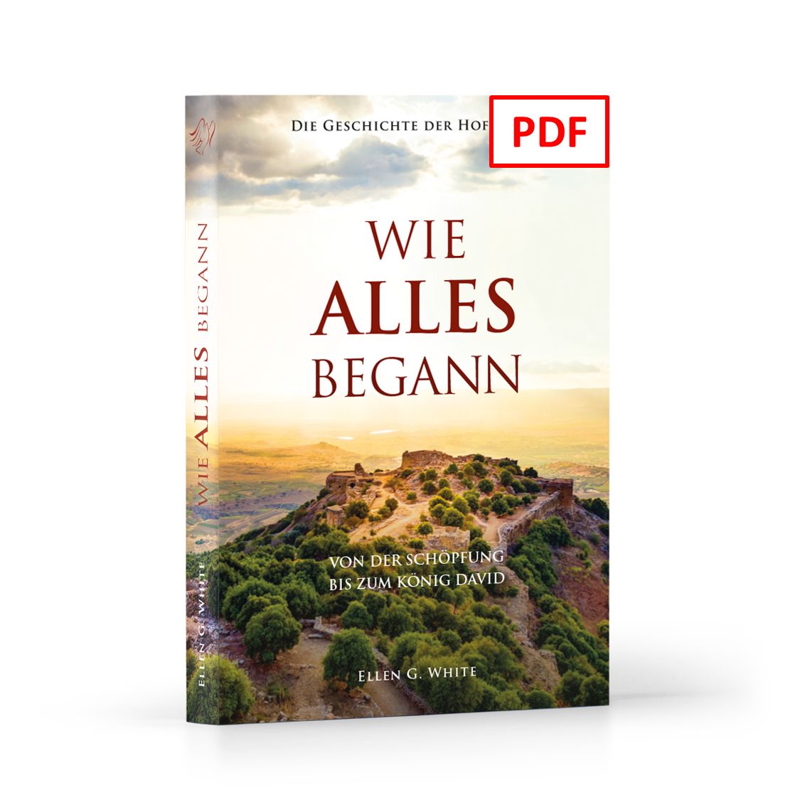 Advent-Verlag Schweiz-Wie alles begann - digitale Version (PDF)_2413008_