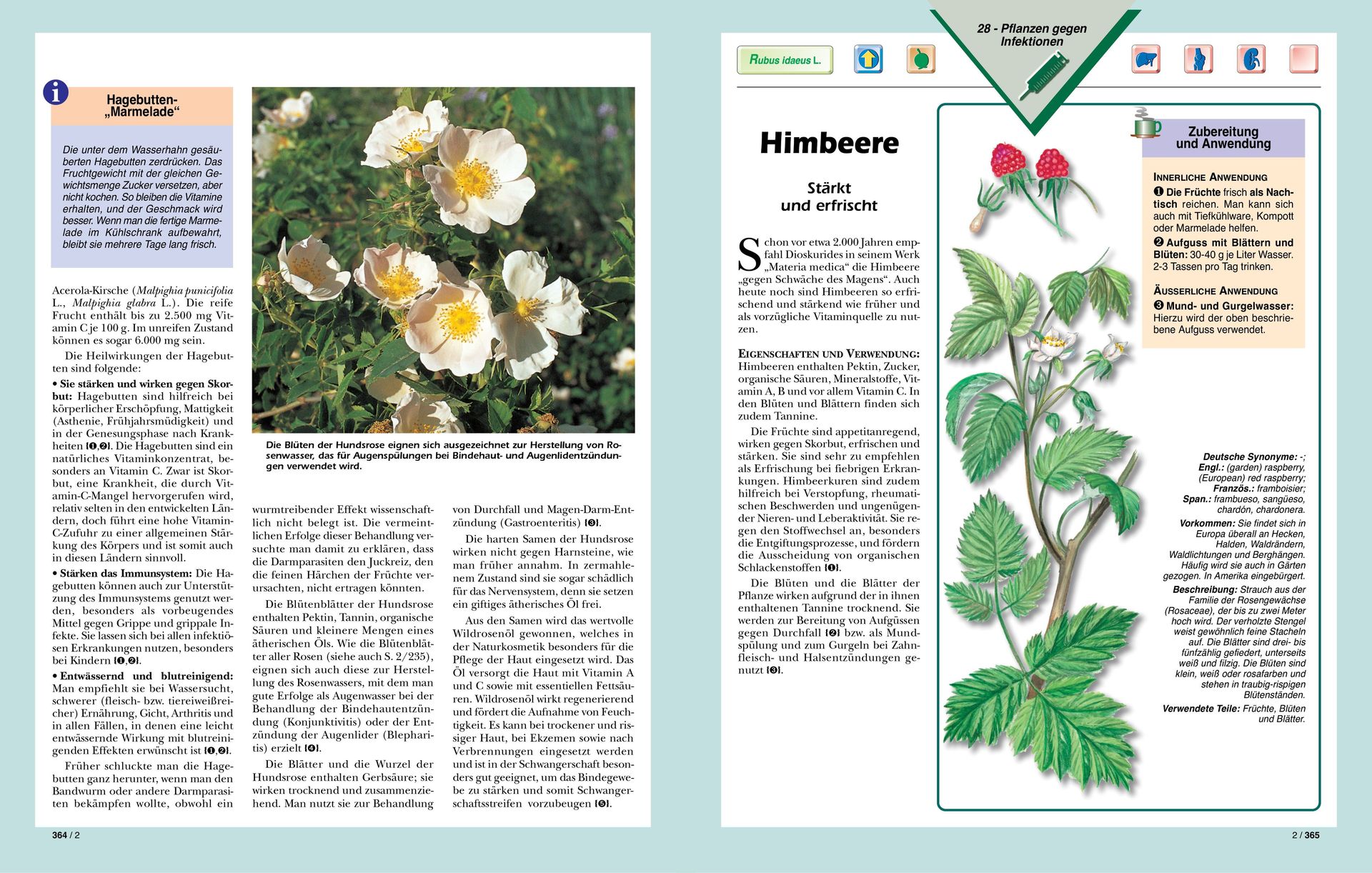 Top Life Center - Wegweiser Verlag-Serie: SGB: Heilkräfte der Pflanzen, Bände 1-2_2231110_10 Top Life Center - Wegweiser Verlag-Serie: SGB: Heilkräfte der Pflanzen, Bände 1-2_2231110_