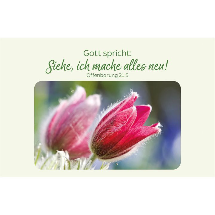 Kawohl Verlag-Blütenreiche Bibelverse_4943038_