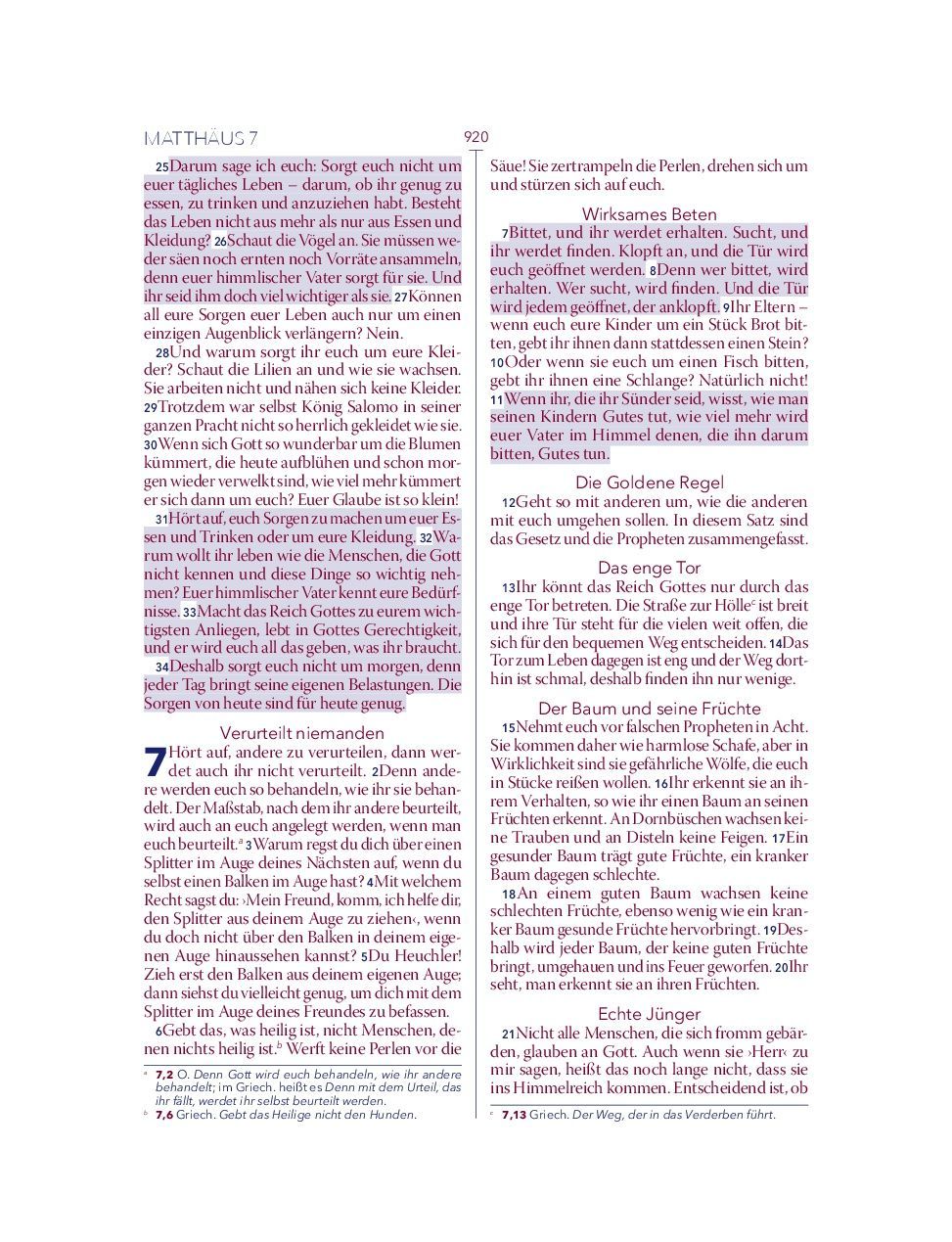 Advent-Verlag Schweiz-Bibel, Neues Leben, HOPE BIBEL, Standard, rot-weiss-blau_2412635_15 Advent-Verlag Schweiz-Bibel, Neues Leben, HOPE BIBEL, Standard, rot-weiss-blau_2412635_