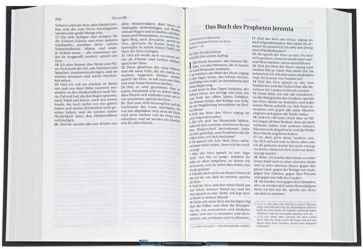 CLV Christliche Literatur-Verbreitung-Bibel, Schlachter 2000, Taschen, grau-grün_2942018_4 CLV Christliche Literatur-Verbreitung-Bibel, Schlachter 2000, Taschen, grau-grün_2942018_