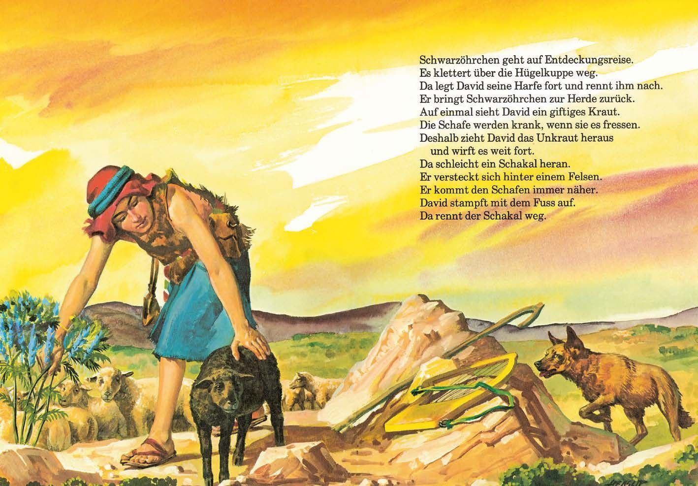 Advent-Verlag Schweiz-Meine Lieblingsgeschichten, David, der Jüngste_2410276_
