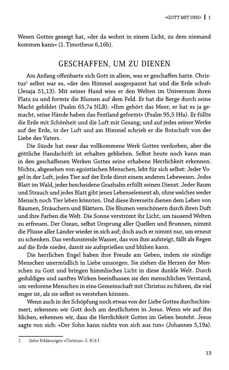 Advent-Verlag Schweiz-Der Sieg der Liebe, Softcover_2410832_