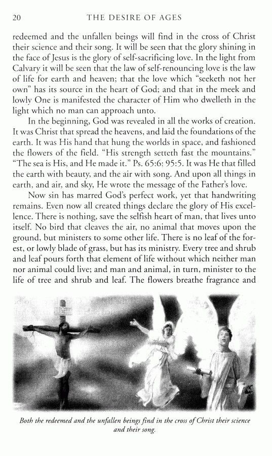 Pacific Press Publishing Association-Der Sieg der Liebe, Hardcover, Englisch (The Desire of Ages)_2540541_7 Pacific Press Publishing Association-Der Sieg der Liebe, Hardcover, Englisch (The Desire of Ages)_2540541_