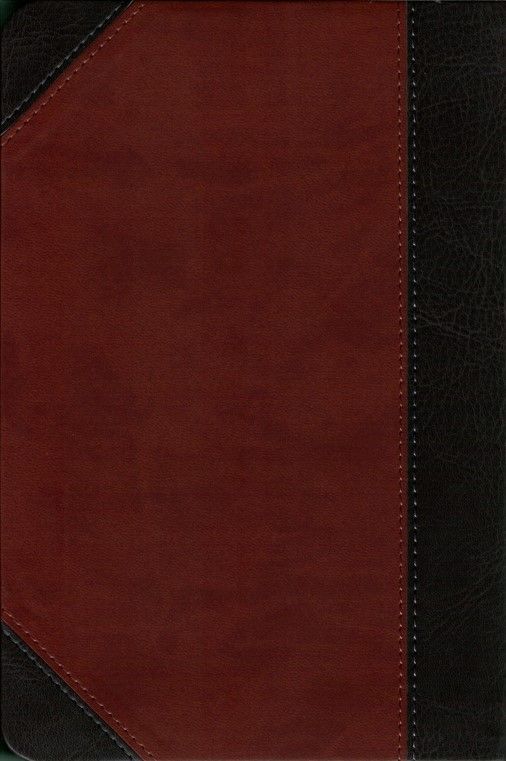 CLV Christliche Literatur-Verbreitung-Bibel, Schlachter 2000, Taschen, grau-braun_2941131_
